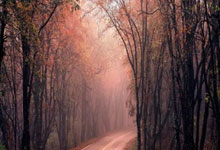 文莱选手悉心备战，登上领奖台