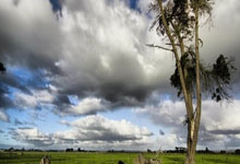 大连一方迎来与浙江绿城的对决