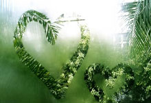 篮网客场大胜强势晋级季后赛