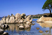 阿联酋球队取得胜利，信心倍增