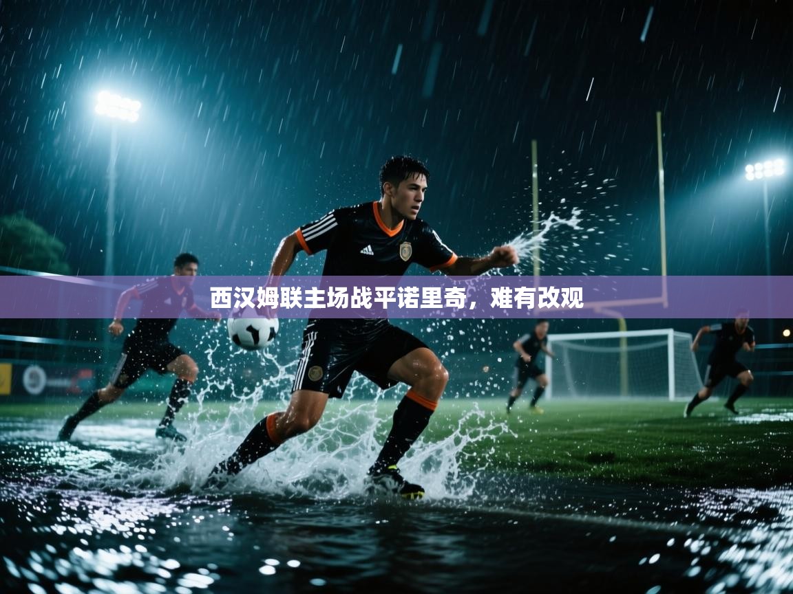 西汉姆联主场战平诺里奇，难有改观  第1张